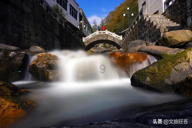 特种突击聪明的顺溜